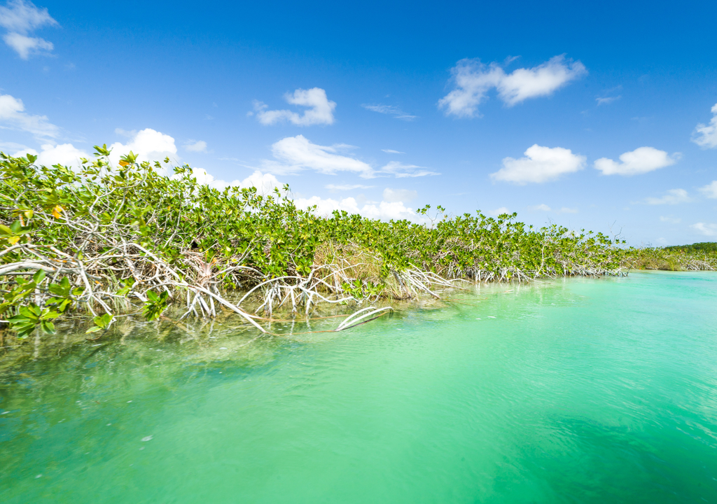 Yucatan; Mexico; humedal; costa; erosion costera; biodiversidad; proteccion; ciclon