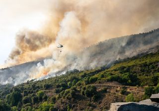 Los 'paisajes mosaico', una nueva solución ante los grandes incendios