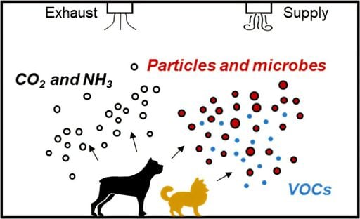 Los perros afectan a la calidad de nuestro aire interior alterando los gases, part&iacute;culas y microbios que respiramos
