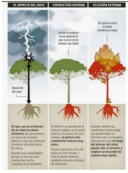 Los rayos latentes: un peligro para los incendios forestales