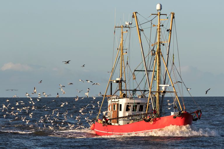 Barco pesquero Barco pesquero