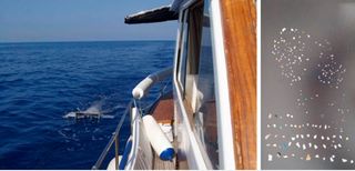 Los residuos de plásticos se convierten en un siglo en parte del ecosistema marino del Mediterráneo