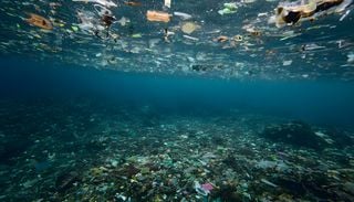 Los r&iacute;os podr&iacute;an estar llevando mucho m&aacute;s pl&aacute;stico al oc&eacute;ano de lo que se cre&iacute;a