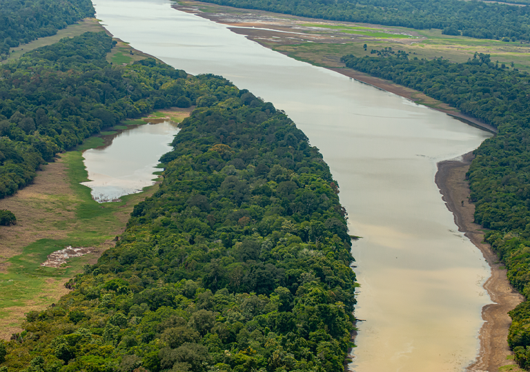 Los ríos: un elemento vital para los seres vivos y ecosistemas en el mundo Los ríos: un elemento vital para los seres vivos y ecosistemas en el mundo