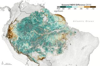 Los satélites detectan la sutil estacionalidad amazónica