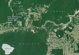 Los sat&eacute;lites que ven lo que el ojo humano no puede: la revoluci&oacute;n silenciosa que salva los &uacute;ltimos bosques