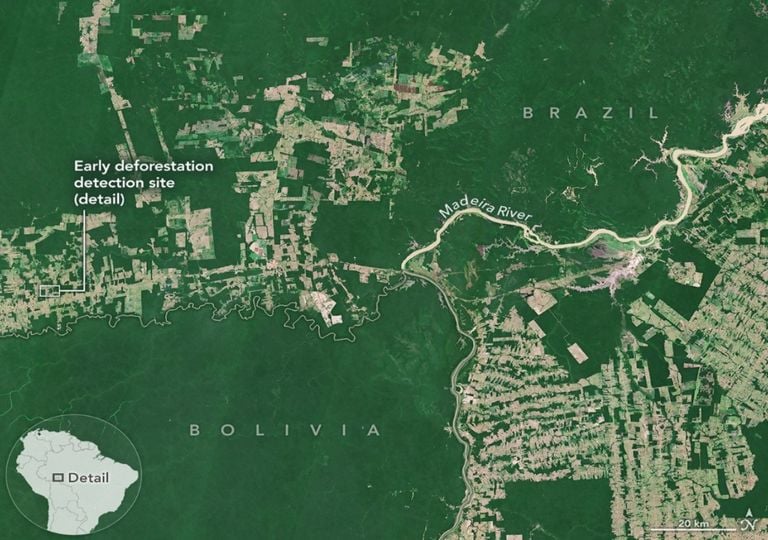 Los sat&eacute;lites que ven lo que el ojo humano no puede: la revoluci&oacute;n silenciosa que salva los &uacute;ltimos bosques