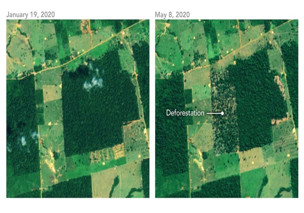 Deforestacion DOS En estas dos imágenes satelitales se puede extraer información sobre procesos de deforestación en marcha.