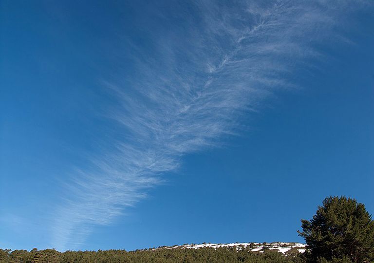 ¿Alguna vez has visto en el cielo borregos, ladrillos o coliflores? ¿Alguna vez has visto en el cielo borregos, ladrillos o coliflores?