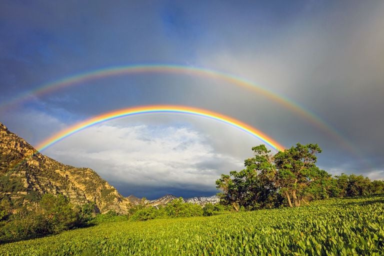 Does this realistic rainbow photomural have seven colors?