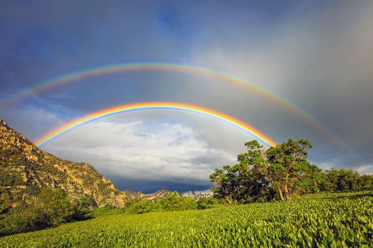 Tiene Siete Colores El Arcoiris