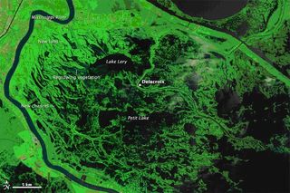 Los signos de Katrina permanecen en las marismas
