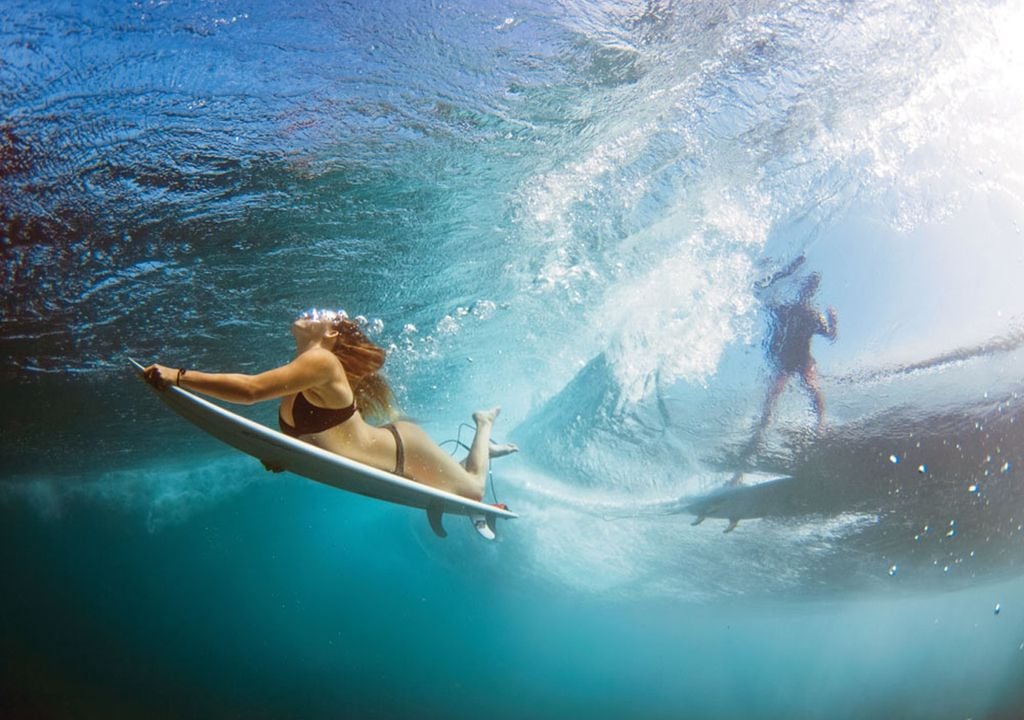 Surfistas conservación