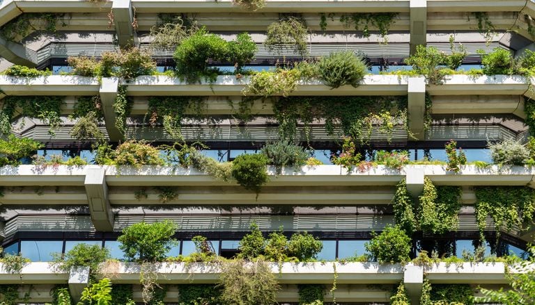 Los tejados verdes combaten el calor urbano, pero fracasa por falta de cuidados: la mitad no sobrevive