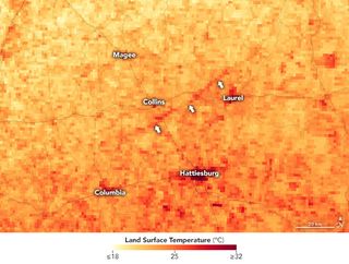 Los tornados arrasan Missisipi: cicatrices cálidas