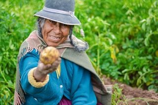 Los tres países con más lenguas indígenas en Latinoamérica: Brasil, México y Colombia