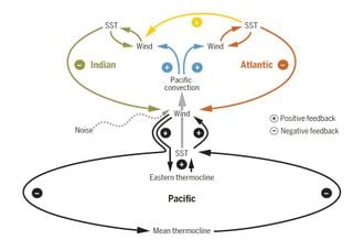 Los trópicos se comunican entre sí