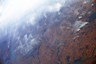 Los vastos incendios perjudican al clima global y al medio ambiente