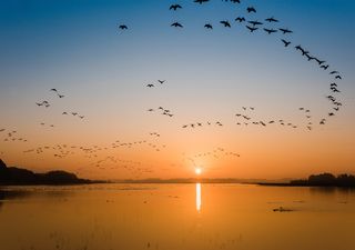 Los veranos se alargan y los inviernos se acortan: qué está pasando con las estaciones y cómo nos afecta