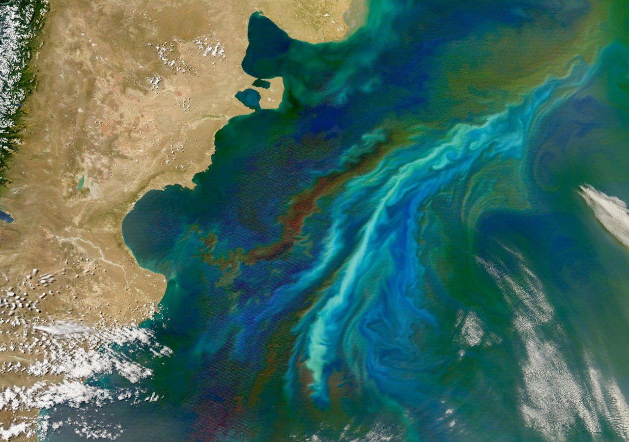 Desde el espacio es posible ver las grandes población de fitoplancton frente a las costas argentinas
