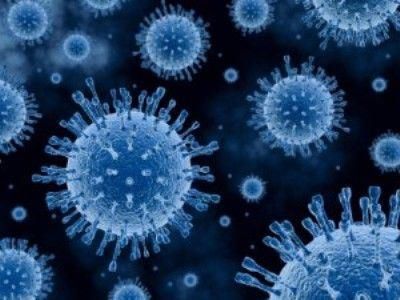 Los Virus Caen Del Cielo Los Virus Caen Del Cielo