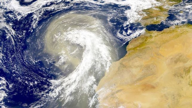 Los Virus Caen Del Cielo Los Virus Caen Del Cielo
