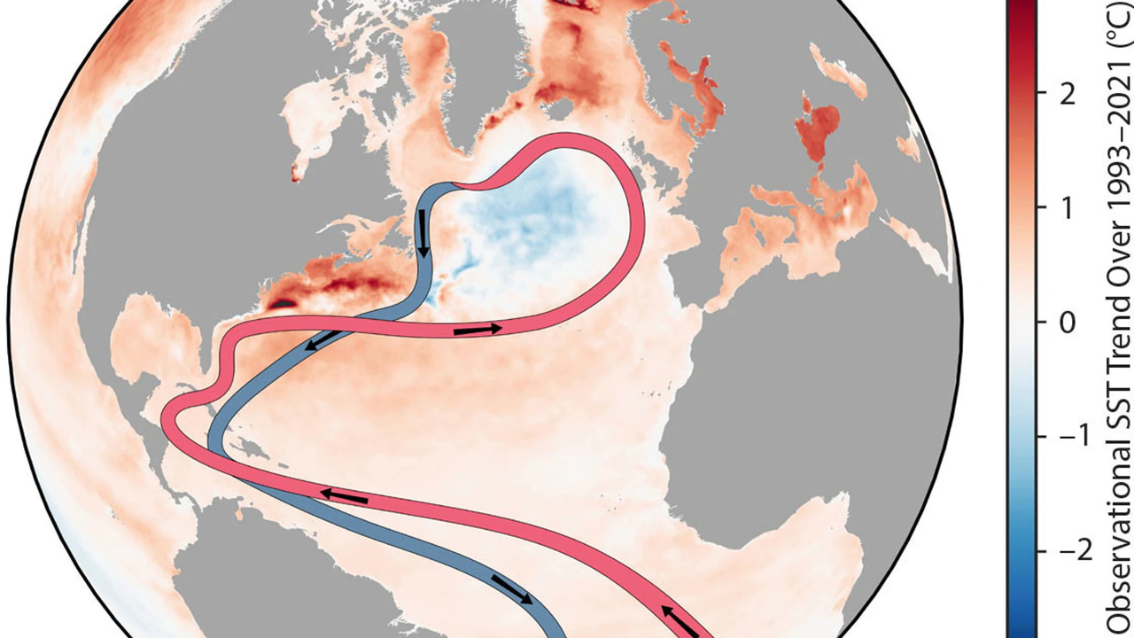 Esquema simplificado de la Circulación de Vuelco Meridional del Atlántico (AMOC). El ramal rojo lleva calor hacia latitudes altas, templando el ambiente frío. Fuente: Servicio de Cambio Climático Copernicus