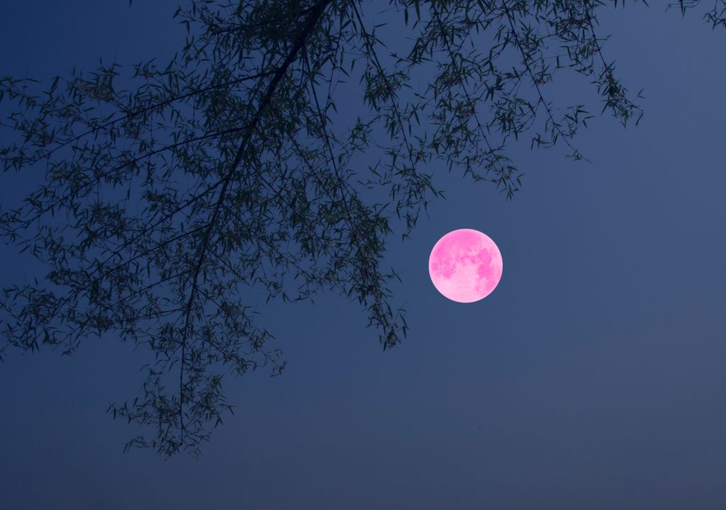 Lua Cheia Rosa; Páscoa; 6 abril 2023