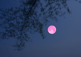 Lua Cheia da Páscoa: será que é mesmo Rosa? Saiba quando e como observá-la!