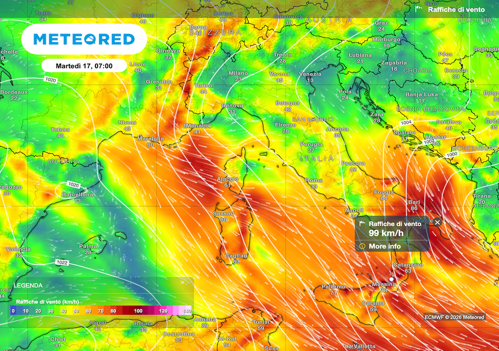 La mappa prevista da ECMWF per domani prevede venti impetuosi di tempesta in molte zone tirreniche e anche sulla Puglia.