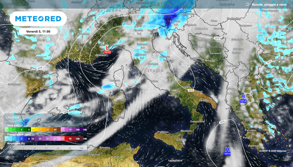 Mappa delle precipitazioni previste da ECMWF domani venerdì 5 giugno, si notano fenomeni irregolari, ma localmente saranno intensi.