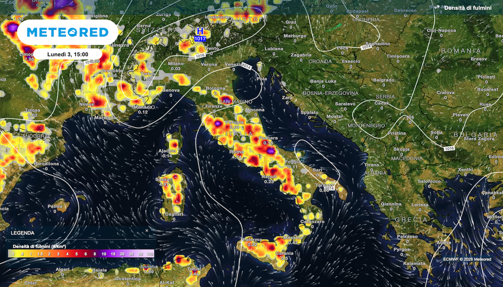 Densità di fulmini prevista da ECMWF lunedì pomeriggio: le dorsali montuose saranno costellate di rovesci termoconvettivi.