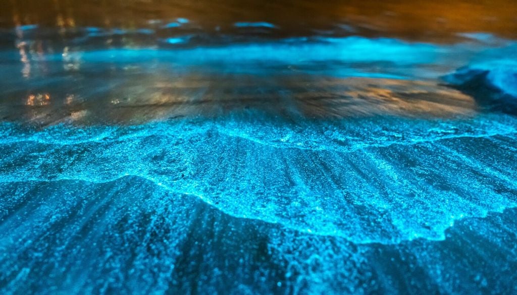 Onde bioluminescenti in Australia