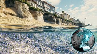 Los investigadores proponen luchar contra la erosión costera con la electricidad en un proceso ecológico y reversible