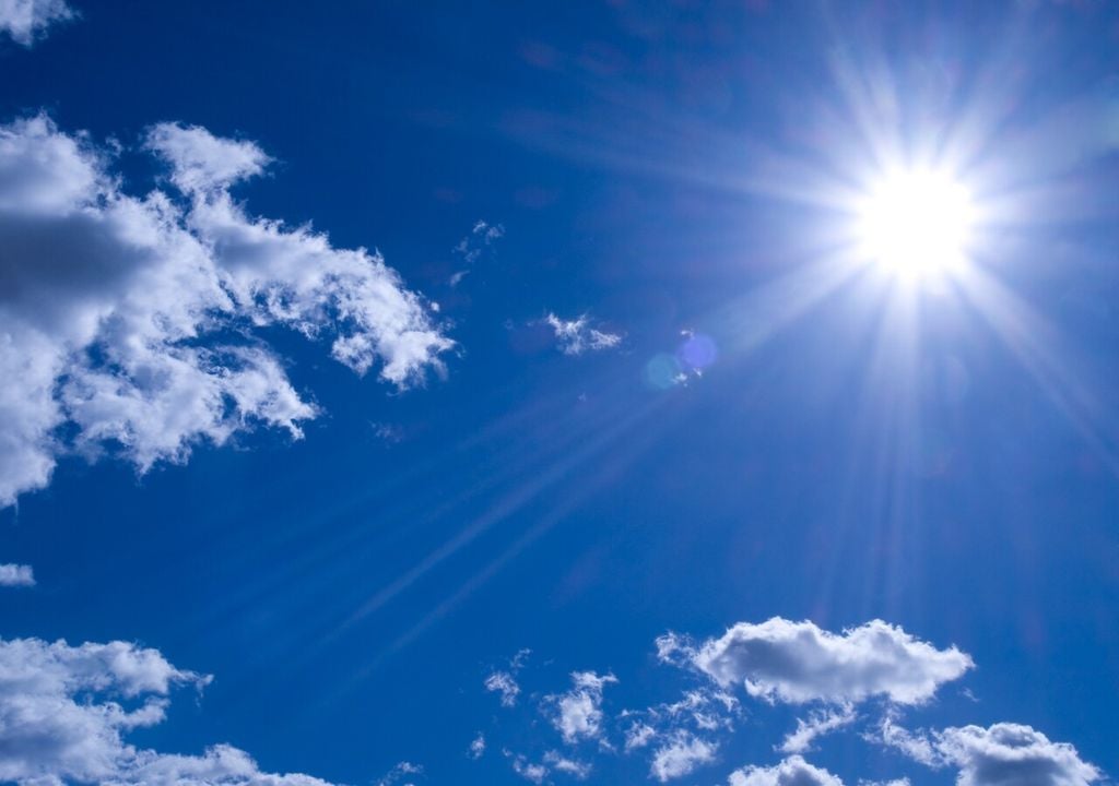 La luce del sole rimane fondamentale per lo svolgimento della fotosintesi, nonostante il supporto fornito da una lampada LED