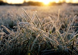 Luego de las lluvias, ¡llegan las heladas! Se vienen unos días con mucho frío en el país