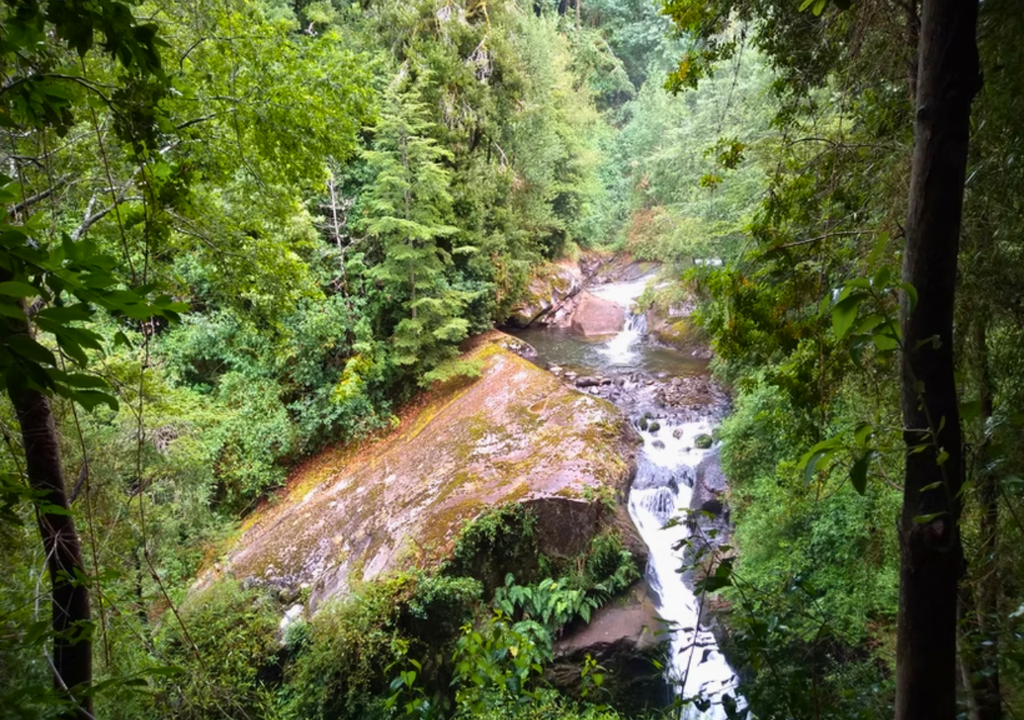 Parque Külatrayken, Región de la Araucanía. El Parque Külatrayken se encuentra en un lugar de gran belleza natural. Crédito: kulatrayken.cl