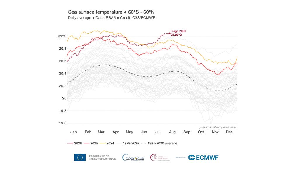 SST Dal mese di Giugno, confermato anche per Luglio, la temperatura superficiale degli oceani ha raggiunto valori record assoluti per questi mesi.