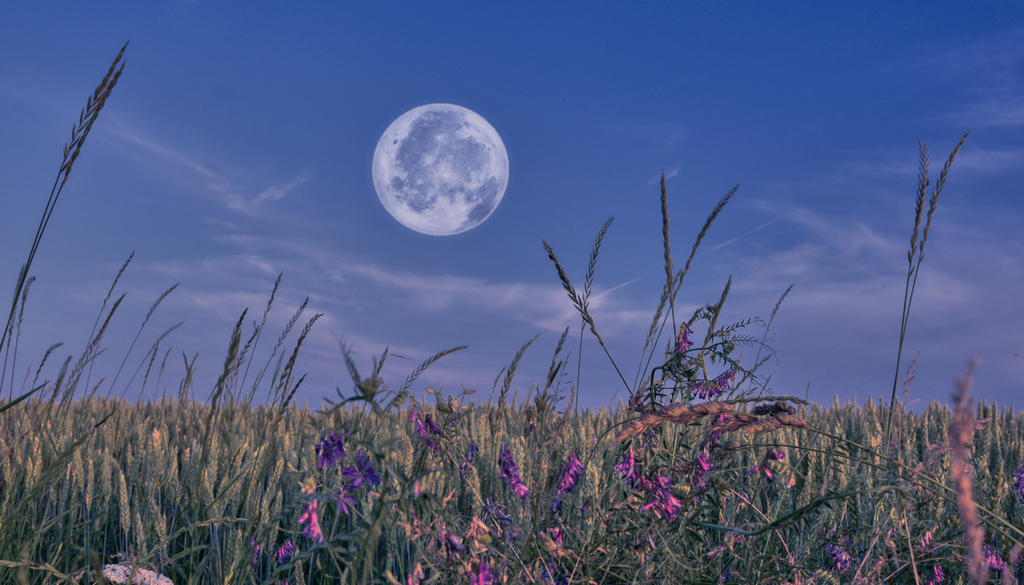 La Luna Azul no se verá azul: su nombre se debe a que será la segunda Luna llena de mayo de 2026, una rareza del calendario lunar que cerrará el mes iluminando el cielo.