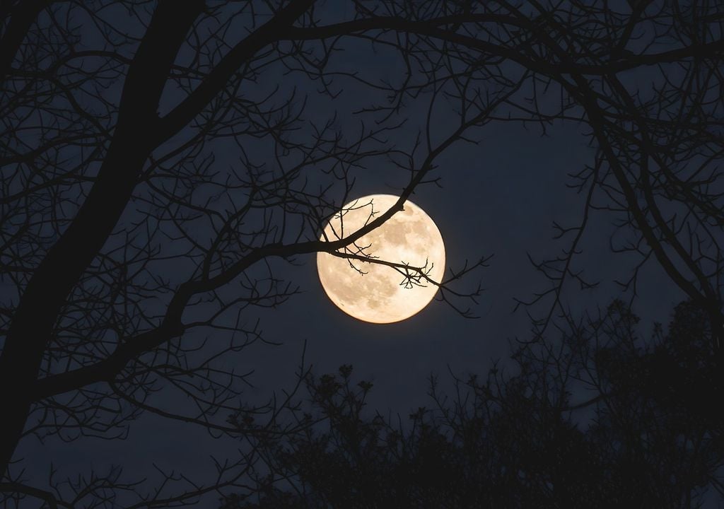 Luna llena del Cazador