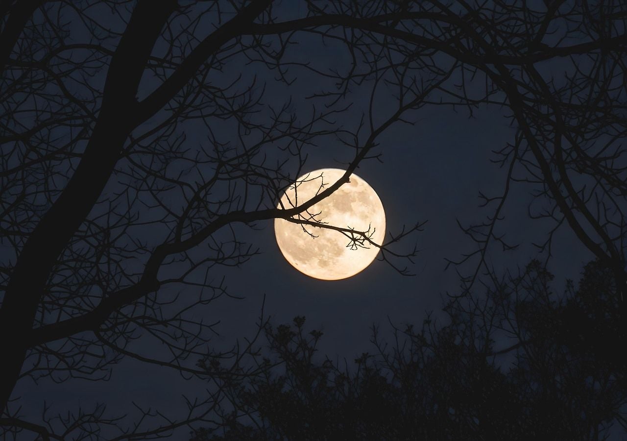 La Luna del Cazador de octubre, tradicionalmente asociada a la preparación para el invierno, brillará con especial intensidad en el cielo otoñal.