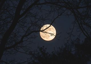 Luna del Cazador octubre 2025: fecha y cómo verla en el cielo