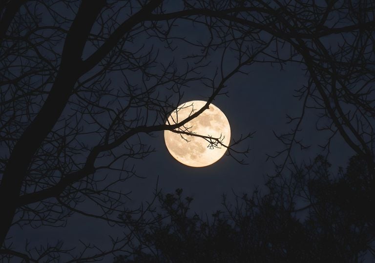 Luna del Cazador octubre 2025: fecha y cómo verla en el cielo