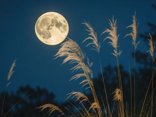 Luna llena de agosto 2025: así brillará la imponente “Luna del Esturión” en los cielos de México