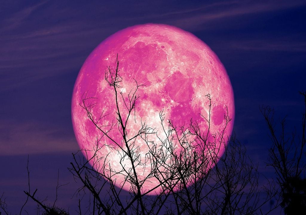 Strawberry, pink Moon, coinciding with harvest.