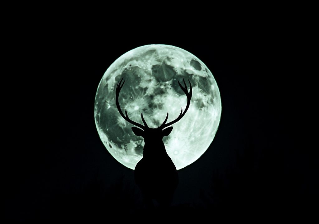 Luna del Ciervo
