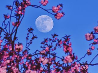 Luna llena de mayo en México: así brillará la mágica 