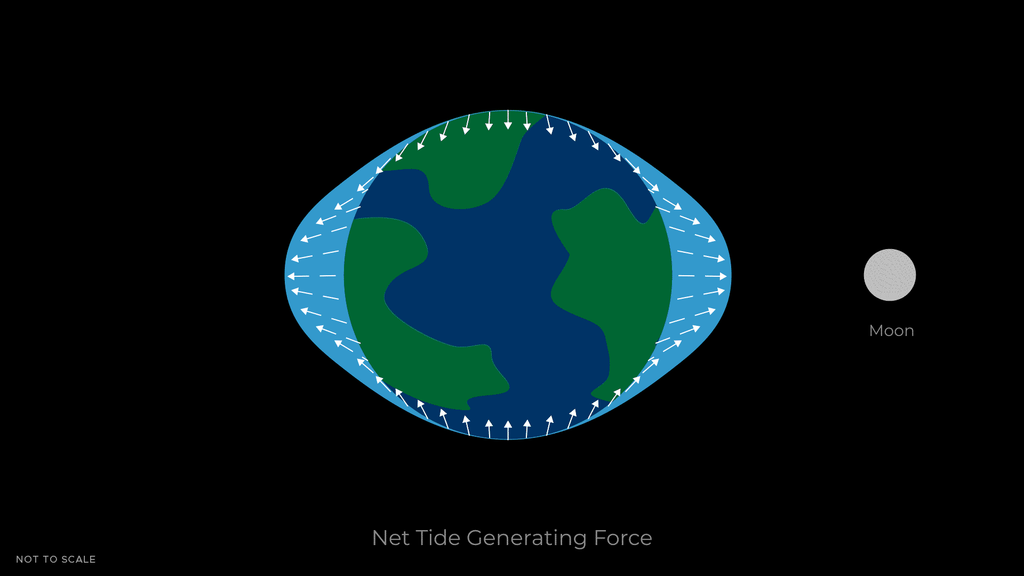 Las mareas altas y las bajas, están relacionadas con las fases y posición que ocupa la Luna con respecto al Sol. Crédito NASA.
