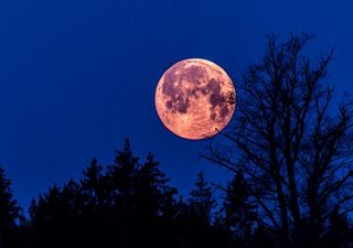 Luna llena en abril de 2025: ¿qué día es y por qué se llama Luna Rosa?
