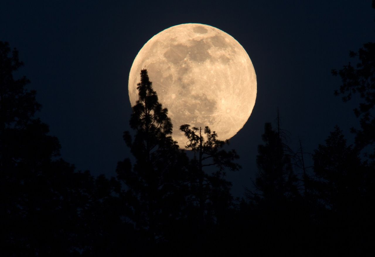 La Luna piena di aprile è già qui ecco quando sarà il momento per ammirare la Luna rosa